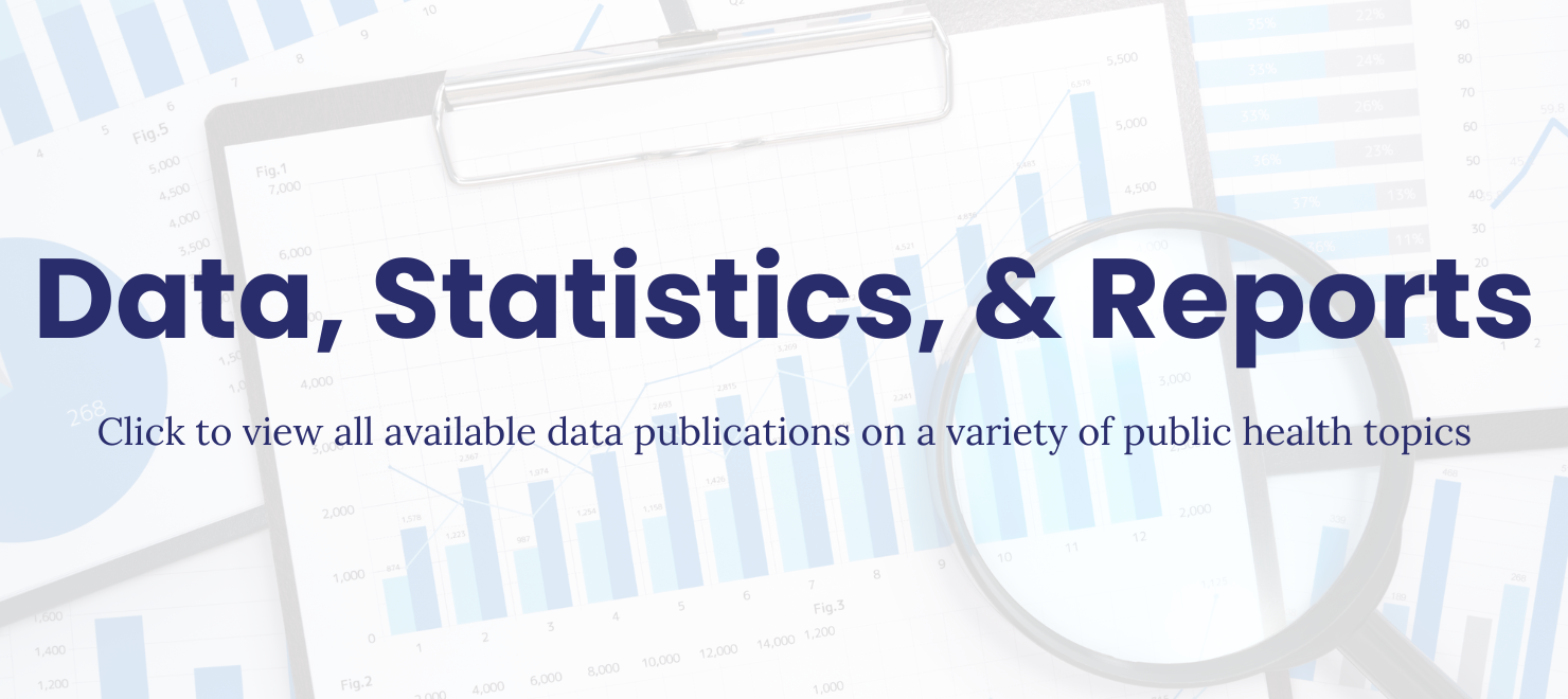 Data Statistics Reports